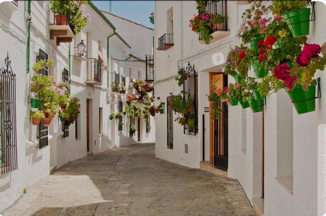 Apartamento E&D Nerja Exteriör bild